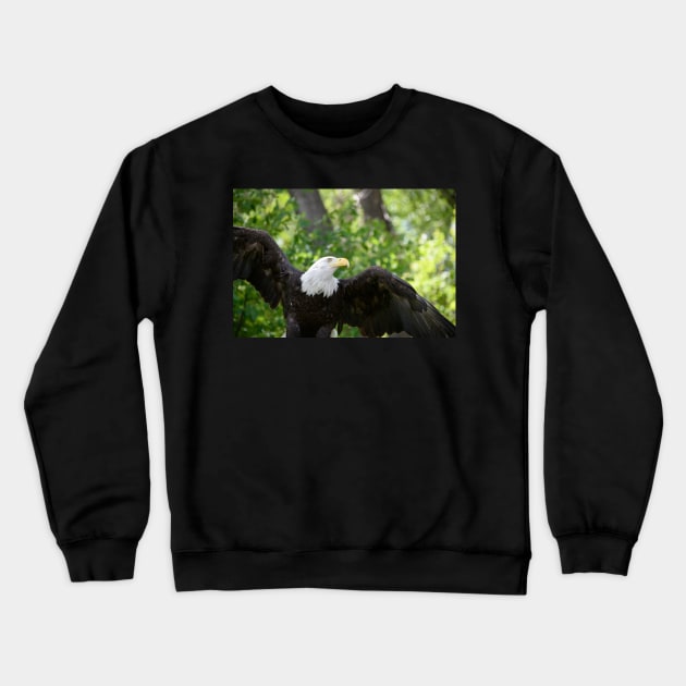 Flight Crewneck Sweatshirt by gdb2